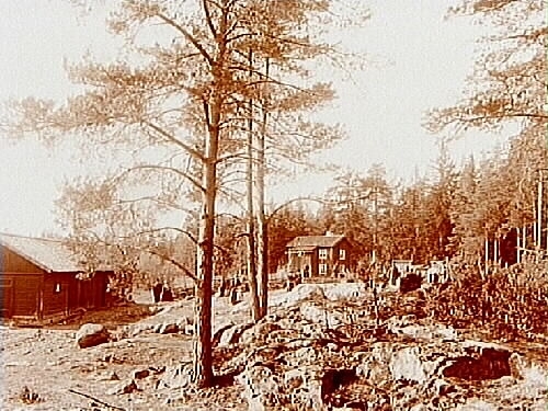 Tvåvånings bostadshus, 10 personer framför huset.
Beställningsnr. AG-108.
 Anders Wester. (Anders Westers hustru gick bort 1903).