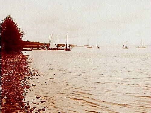 Segelsällskapets första segling i juni 1908 på Hjälmaren.
7 segelbåtar vid bryggan.