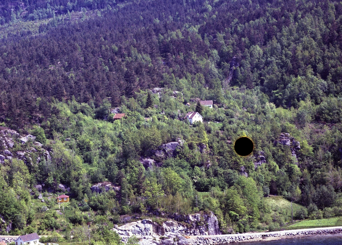 Hus brygge skog fjord
