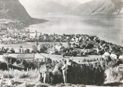 Prospektfotografi av Volda med fjorden. I forgrunnen står en