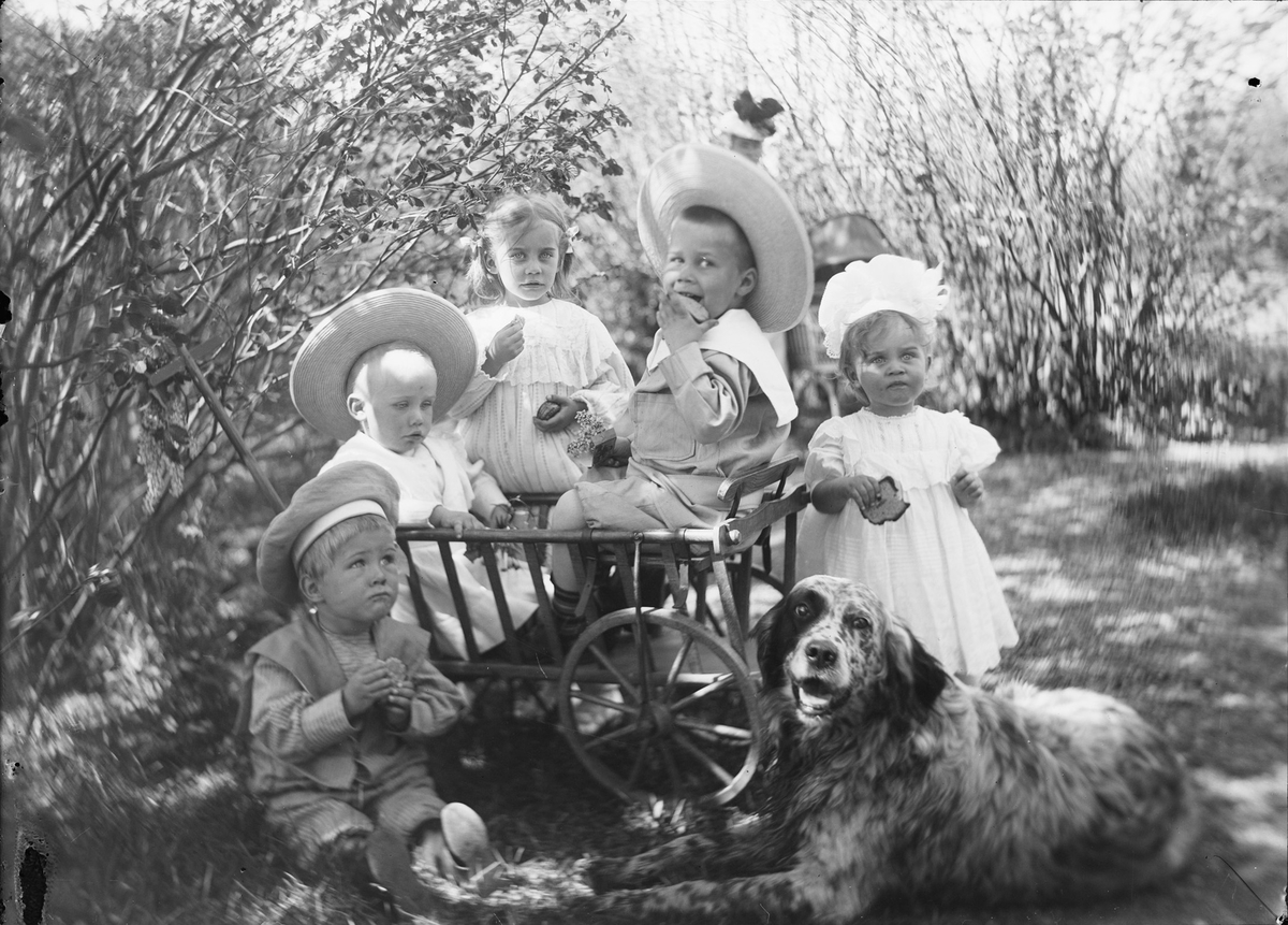 Fem barn sitter i eller står/sitter ved siden av en liten håndkjerre. En hund ligger også pent ved siden av vognen. De er oppstilt for fotografering i hagen.