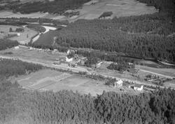 Brennhaug, Dovre, gårdsbruk, jordbruk, slåttonn, hesjing, ko