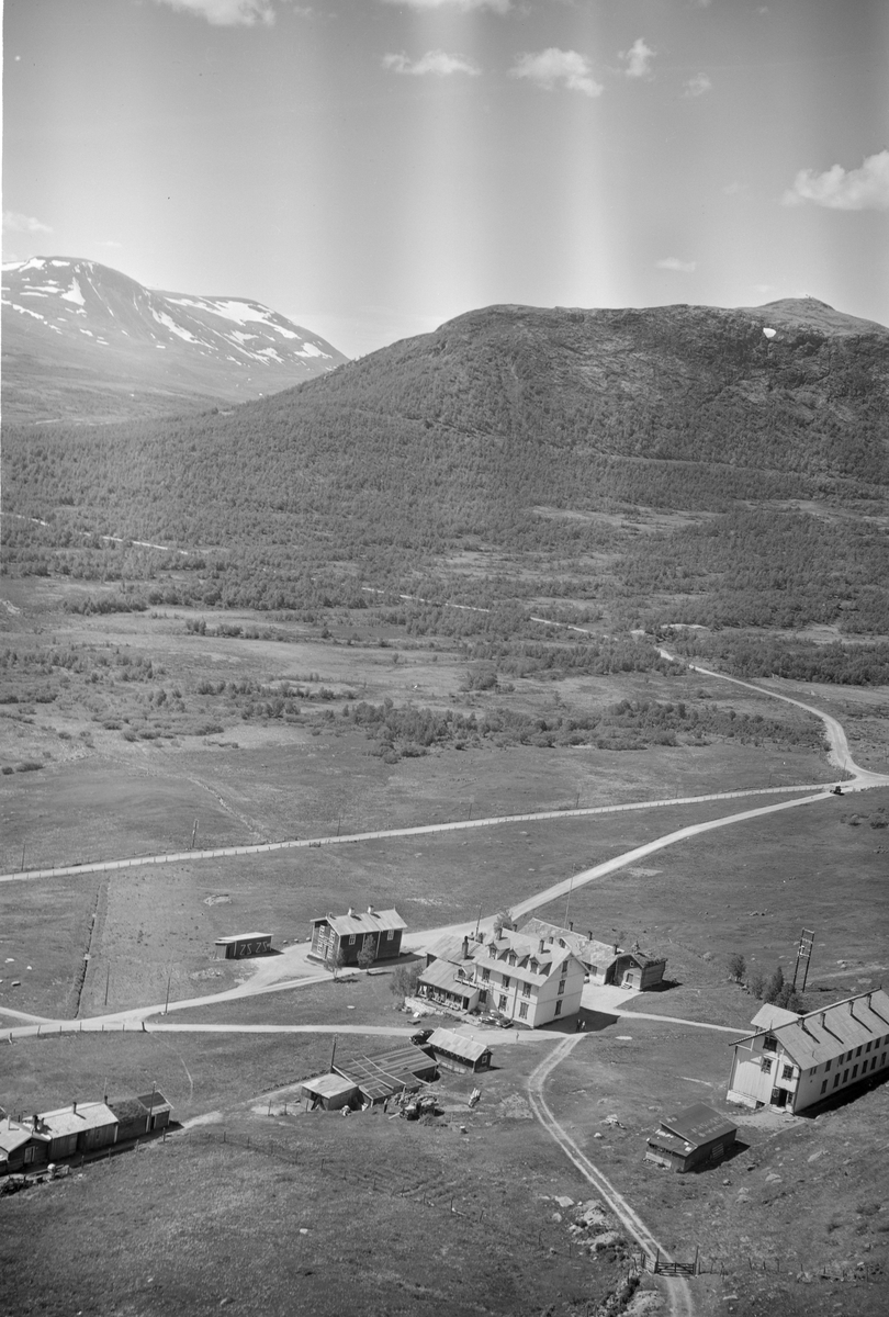 Hjerkinn fjellstue, Dovre, 08.07.1952, veier, blandingsskog, snødekte fjell i bakgrunnen