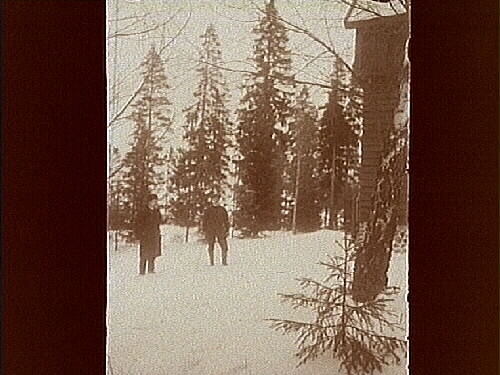 Två personer i skogen 
2/2 1913