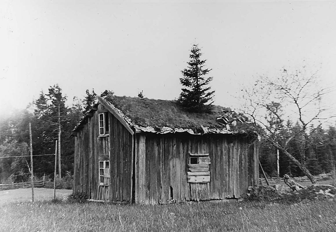 Torvtäckt övergiven stuga med gran på taket. Skyttatorp - Örebro läns ...