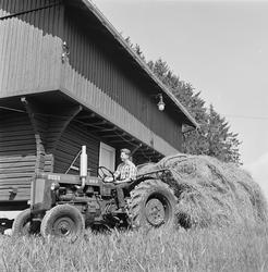 Høyonn på Kyken gård, Kløfta.