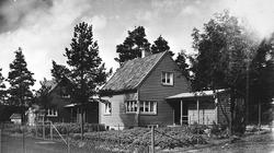 Bilder fra fotoalbum (23 x 25 cm) Nordisk kolonihagekongress