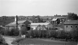 Toten Potetmelfabrikk på Lena, ca. 1936-38. 6 bilder av bygn