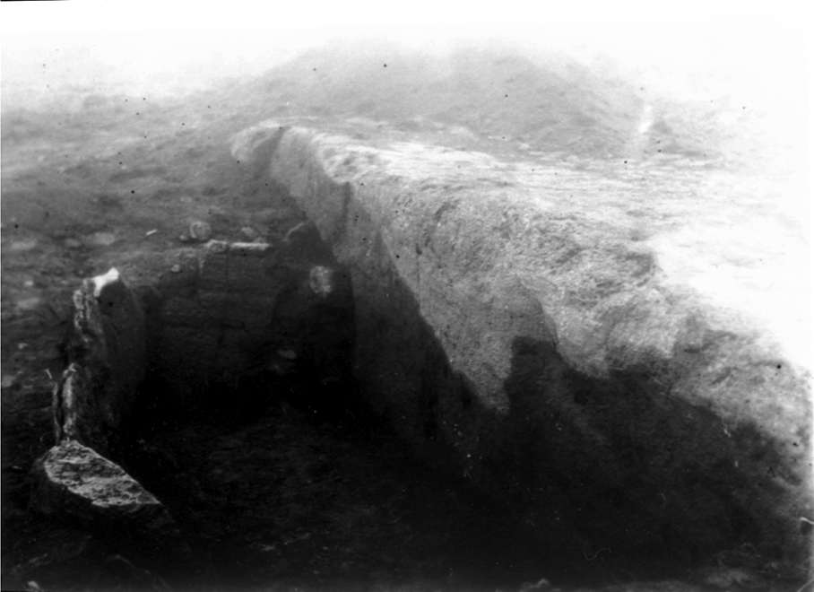 Hällkista på Mösseberg, Bergsgården. Berghällens sida har fått tjänstgöra som gravens ena vägg.