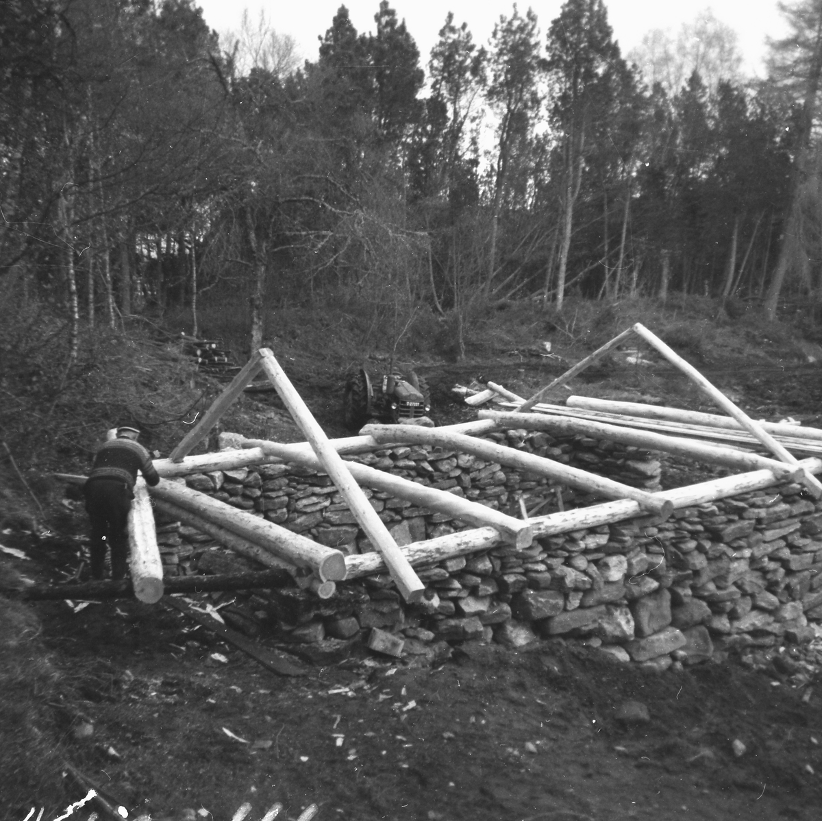 Sæterfjøs i stein fra Årset-sætra i Ramstaddalen, Sykkylven. Bildeserie av gjenoppbygginga av fjøsen på "Sætra" ved Sunnmøre Museum.