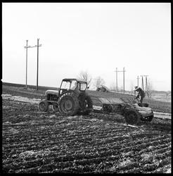 Jordbruk. På våren.