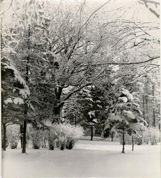 Planteringsförbundets park. Vinterbilder från parken 1938.