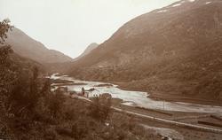 Nestadvoll i Drivdalen