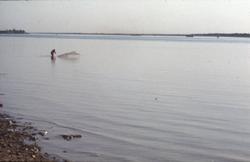 Fisker ved stranden.