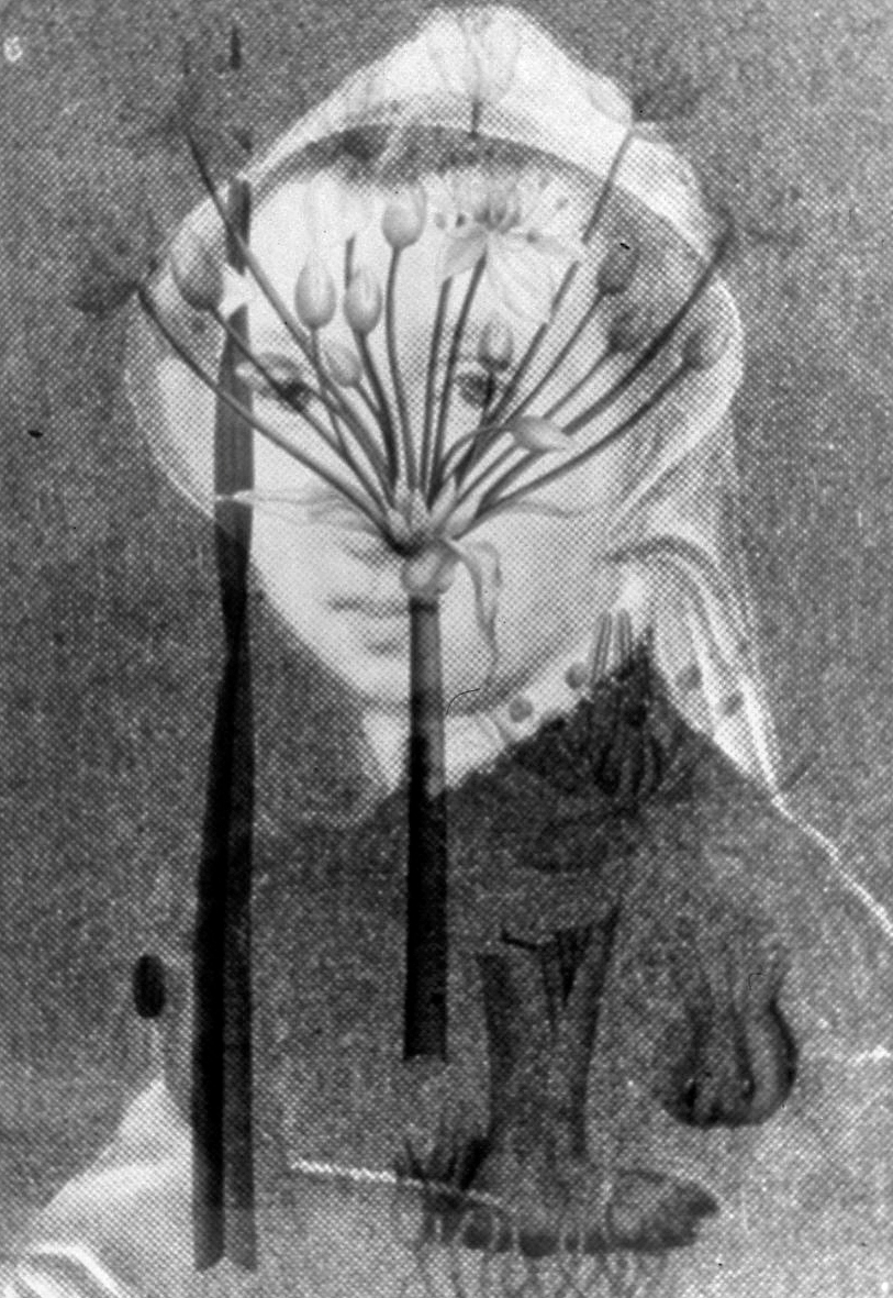 Catarina van Hemessen (1528-1587) var en renessansemaler fra Flandern og den første kvinnelige maleren hvor man har funnet en stor samling av arbeider. Hun malte hovedsakelig kvinneportretter og enkelte religiøse motiv. Planten over hennes ansikt har navnet Brudelys (Butomus umbellaus), en sterkt truet og nå svært sjelden plante i norsk flora. Til samme serie hører også et portrett av Sidsel Paaske (1937-1980), som nå anses som en av fremste avantgarde-kunstnerne i Norge på 1960 - og 70-tallet. Planten som delvis dekker ansiktet hennes kalles Froskebitt (Hydrocharis morsus-ranae), og er nesten utryddet i Norge.