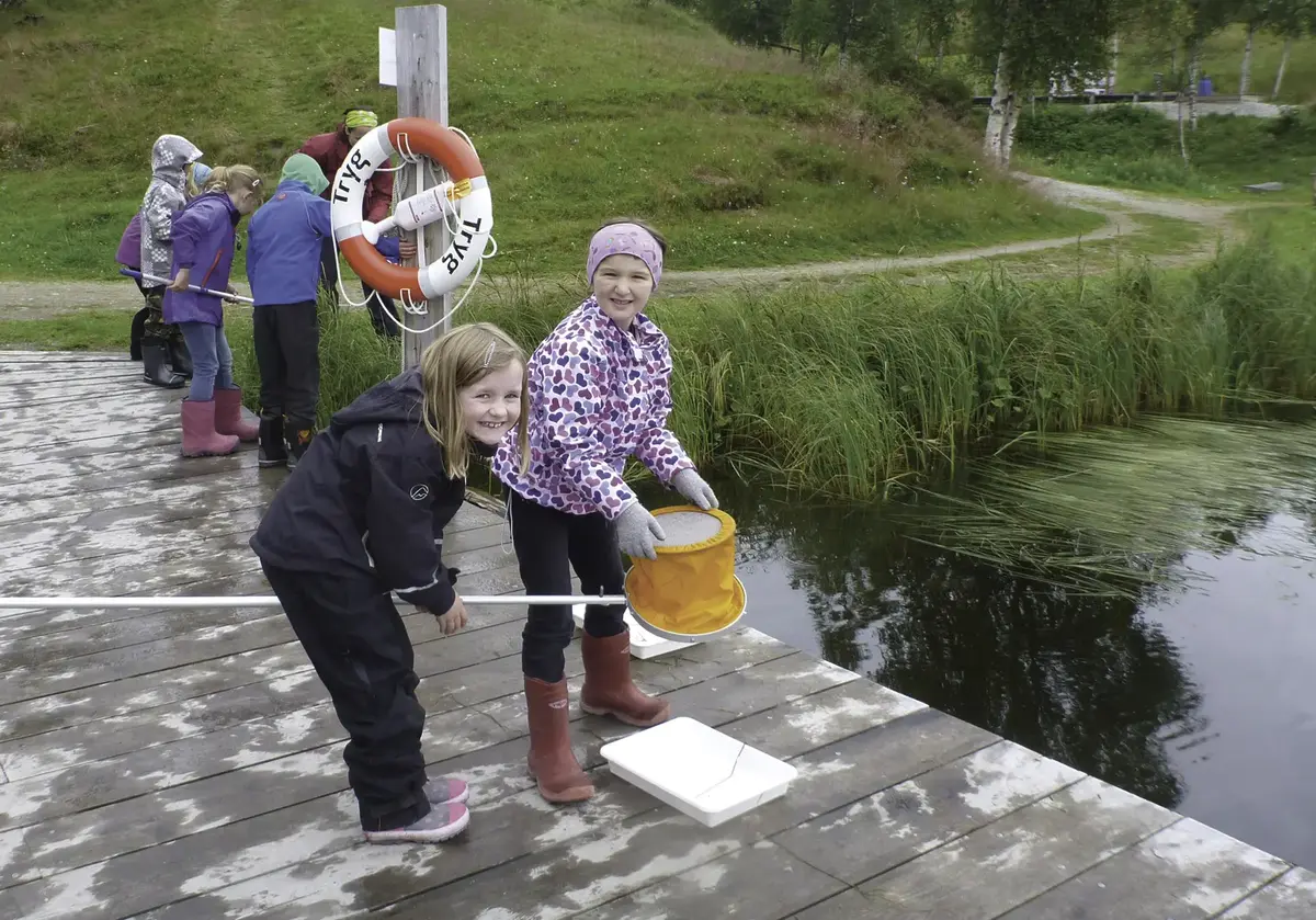Insect hunting Rørosmuseet