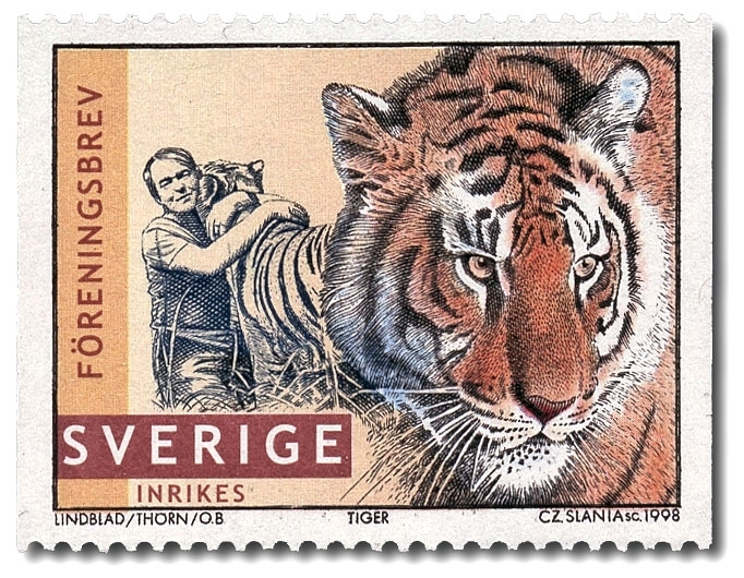 Naturfotografen Jan Lindblad och hans tigrar.