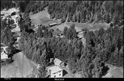 Moa Bruk Brauta i Fåvang