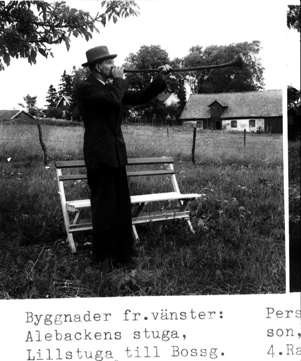 Ålderman f.d. lantbrukare Erik Darius spelar lur. Bild 2. Byggnader från vänster: Alebackens stuga, lillstuga till Bossgården. Gamle Bossg.s ladugård riven.