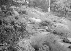 Balke, major - Villa, ute og inne (Vi selv)