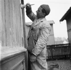 Vardens arkiv. "Vår-reportasje"  06.05.1954