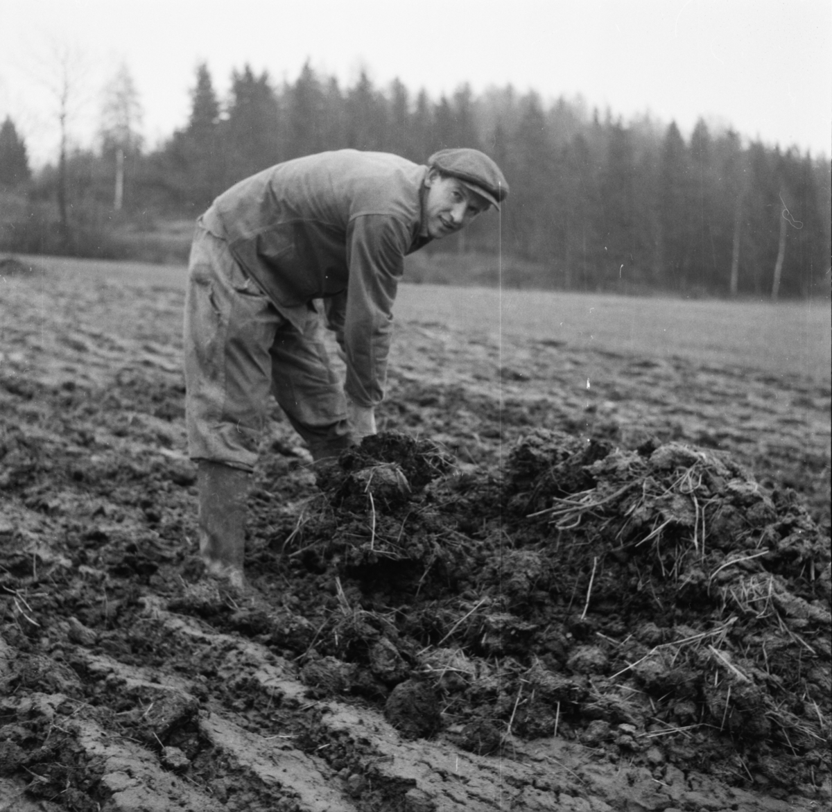 Vardens arkiv. "Vår-reportasje"  06.05.1954