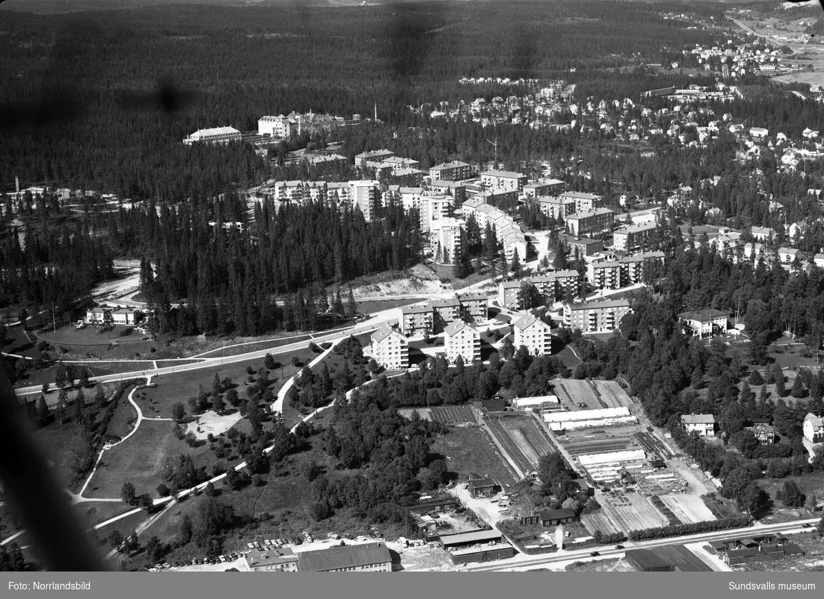 Flygfoton över Lindvalls handelsträdgård, busbacken, Tivolivägen, Norrliden och Sanatoriet.