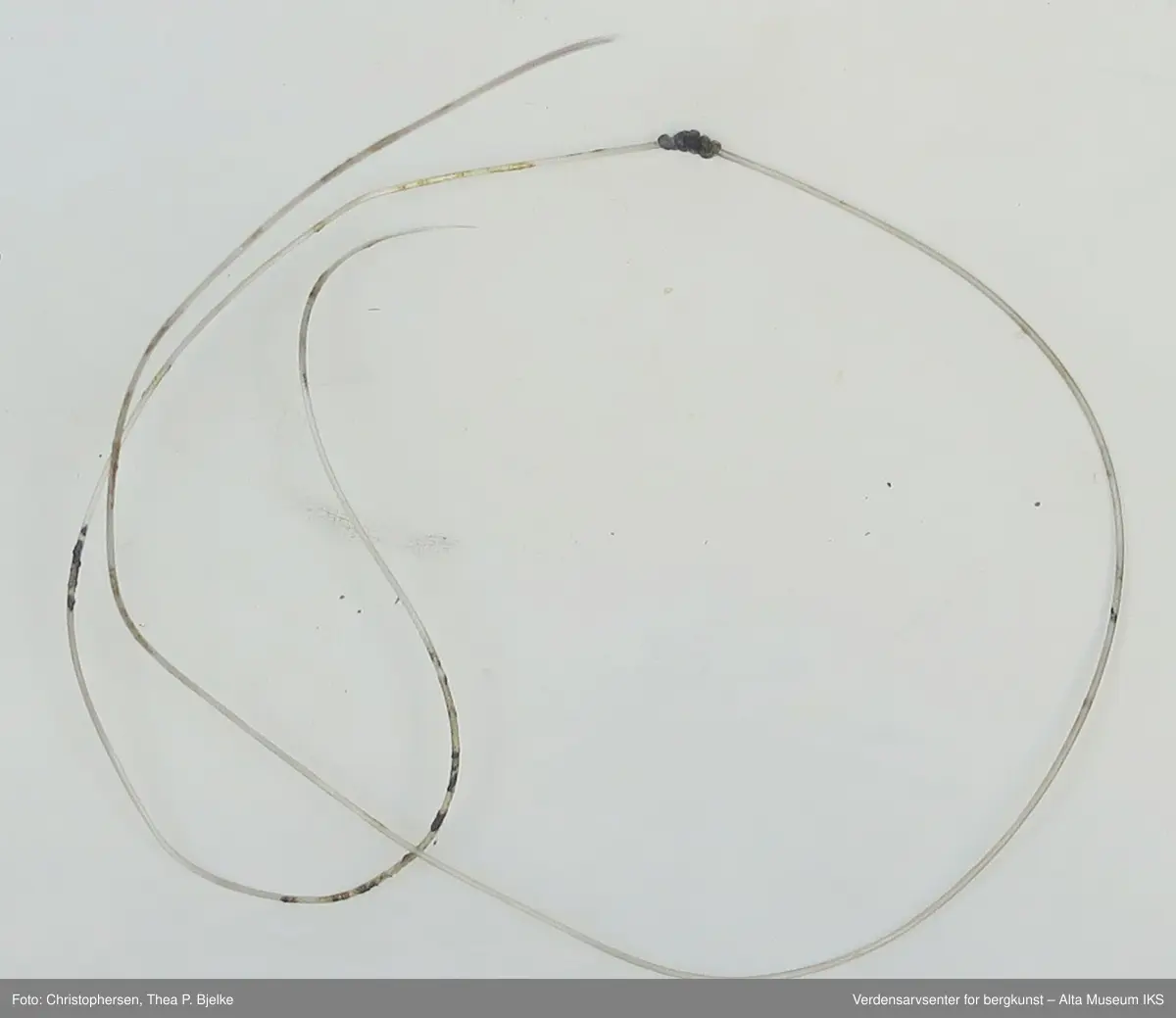 Bakgrunnsmotiv fra fiskeelven Spey