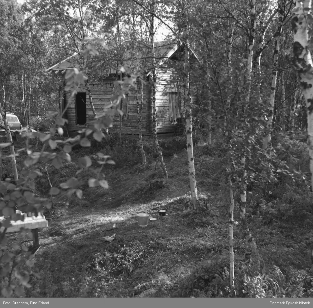 En hytte i skogen i Neiden. Det kan være familien Drannems hytte.