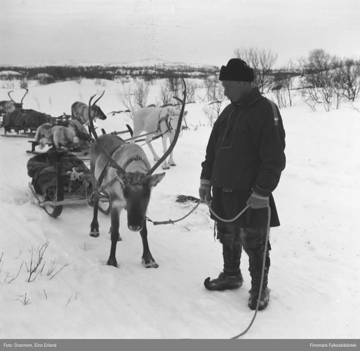 Emil Alfred Kaarret står foran flere kjørerein. Emil Alfred og kone Aune Katri Paltto bodde i Kyynelniemi ved Inarijärvi ( nord ved Enaresjøen).