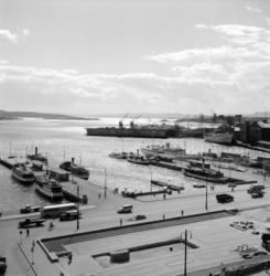 Oslo Havn: Honnørbrygga.Båttrafikk..1951 - 1953