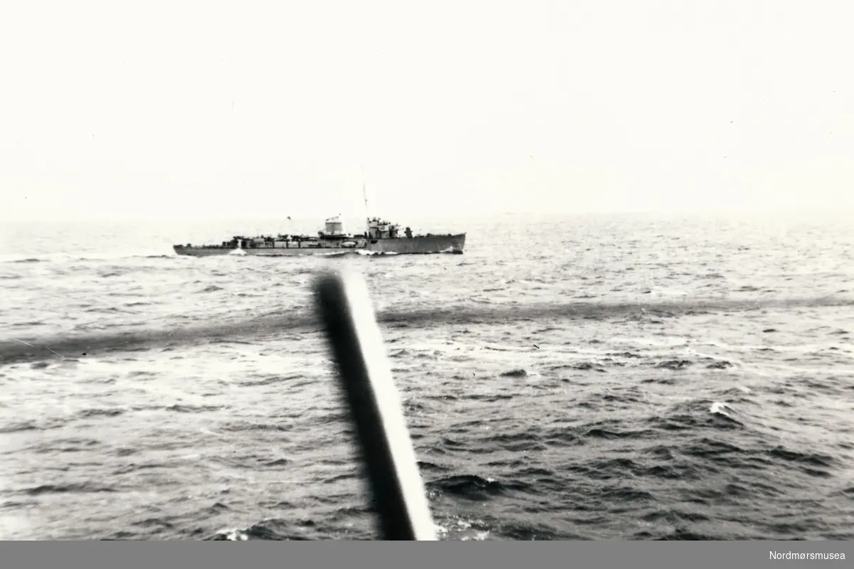 Et krigsskip. Bildet er tatt fra et transportskip. Et tysk krigsskip. Muligens en torpedobåt tb43-46, et tidligere norsk skip som ble innrulert i den tyske krigsmarine.
Etter den tyske invasjonen av Norge falt fire torpedojagere av Sleipner-klassen, Balder, Gyller, Odin og Tor på tyske hender. Disse ble innlemmet i den tyske marine med betegnelsen torpedobåter og ble døpt henholdsvis Leopard, Löwe, Panther og Tiger. Fartøyet på bildet er en av disse torpedobåtene.