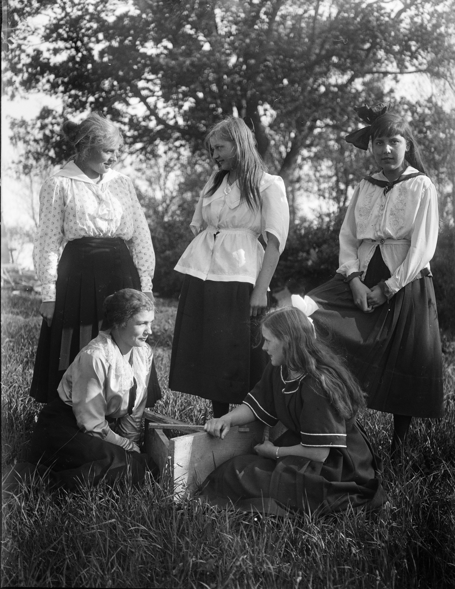 "Rut Anderson, Säva, Helga Melberg, Agnes Gustafson, Elsa Alström, Fanny Gustafson", Uppland 1919