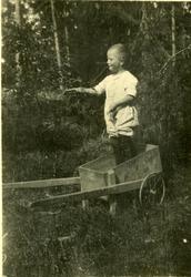 Portrett og gruppebilder, ukjente