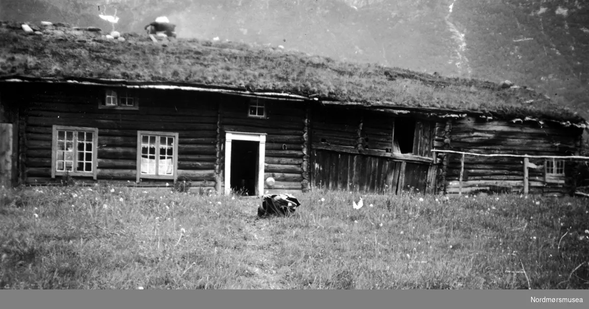 Husmannstue på Langsøy i Sunndal kommune, med Våninghus, låve og fjøs bygd i ett. Datering er ikke kjent. Fra Nordmøre Museums fotosamlinger.