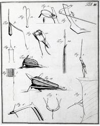 Plansje - Tab. III.  Beskrivelse av fiskeredskap og detaljer