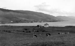 Fra Nordmøre museums fotosamlinger.

Her ser vi
Gammelskolen