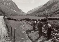 Postkort ";16/440"; . Motiv av to fjordinger og to menn i ga