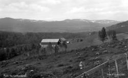 Postkort med motiv fra Lomundalen i Rindal kommune. Vi ser e