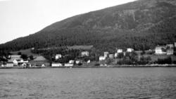 Fra Nordmøre Museum sin fotosamling