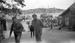 Et bilde fra Fisketorget på Kirkelandet med Piren helt i bak