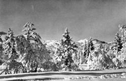 Serie. Ett av ti postkort fra en serie ved navn ";Sne over S