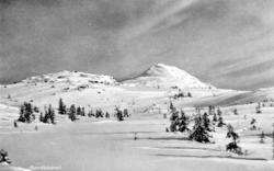 Serie. Ett av ti postkort fra en serie ved navn ";Sne over S