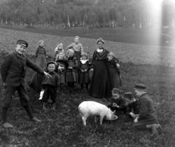 12 barn, to kvinner og en gris. Sverdrupbarna og venner vise