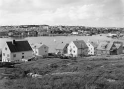 Postkort fra Innlandet i Kristiansund, hvor vi ser flere bol