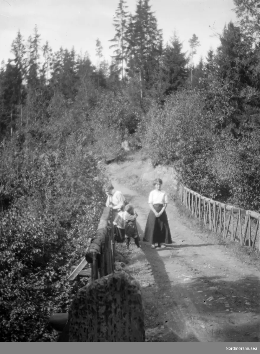 Foto av to kvinner og to barn på en bro. Kvinnene og barna er trolig fra Sverdrupfamilien/slekten, eventuelt fra deres bekjentskaper. Datering er også ukjent, men trolig omkring 1920 til 1939. Fra Nordmøre museums fotosamlinger. EFR2015