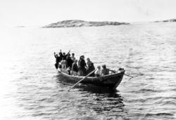 Foto fra Anders Beer Wilses fotoarkiv, hvor vi ser en geitbå