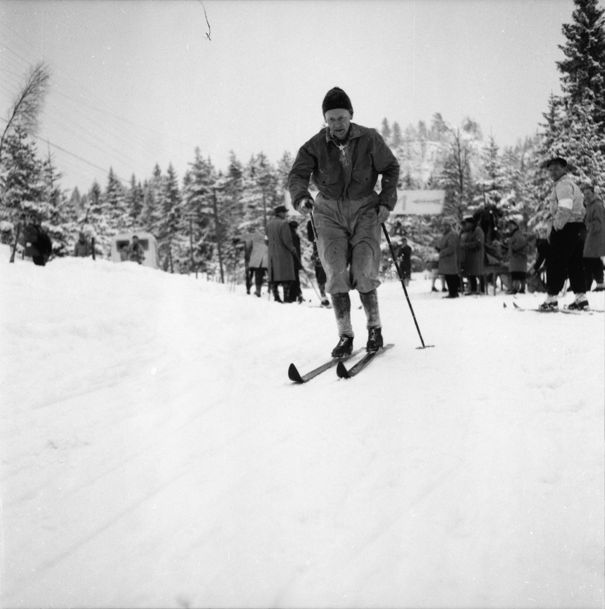 Vardens arkiv. "Politimesterskapet"  09.02.1954