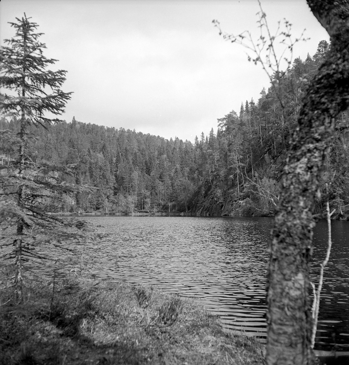 Nygårdsvollen ved Hommelvik