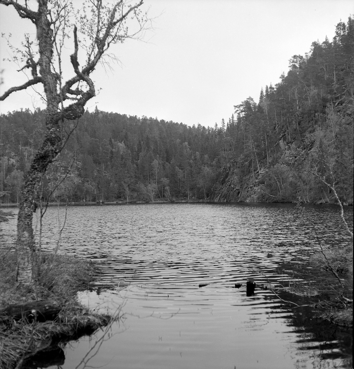 Nygårdsvollen ved Hommelvik